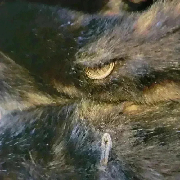 Tissavel France Faux Fur Coat - Picture 6 of 7